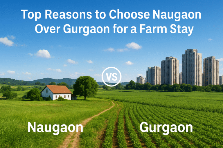 Naugaon vs Gurgaon